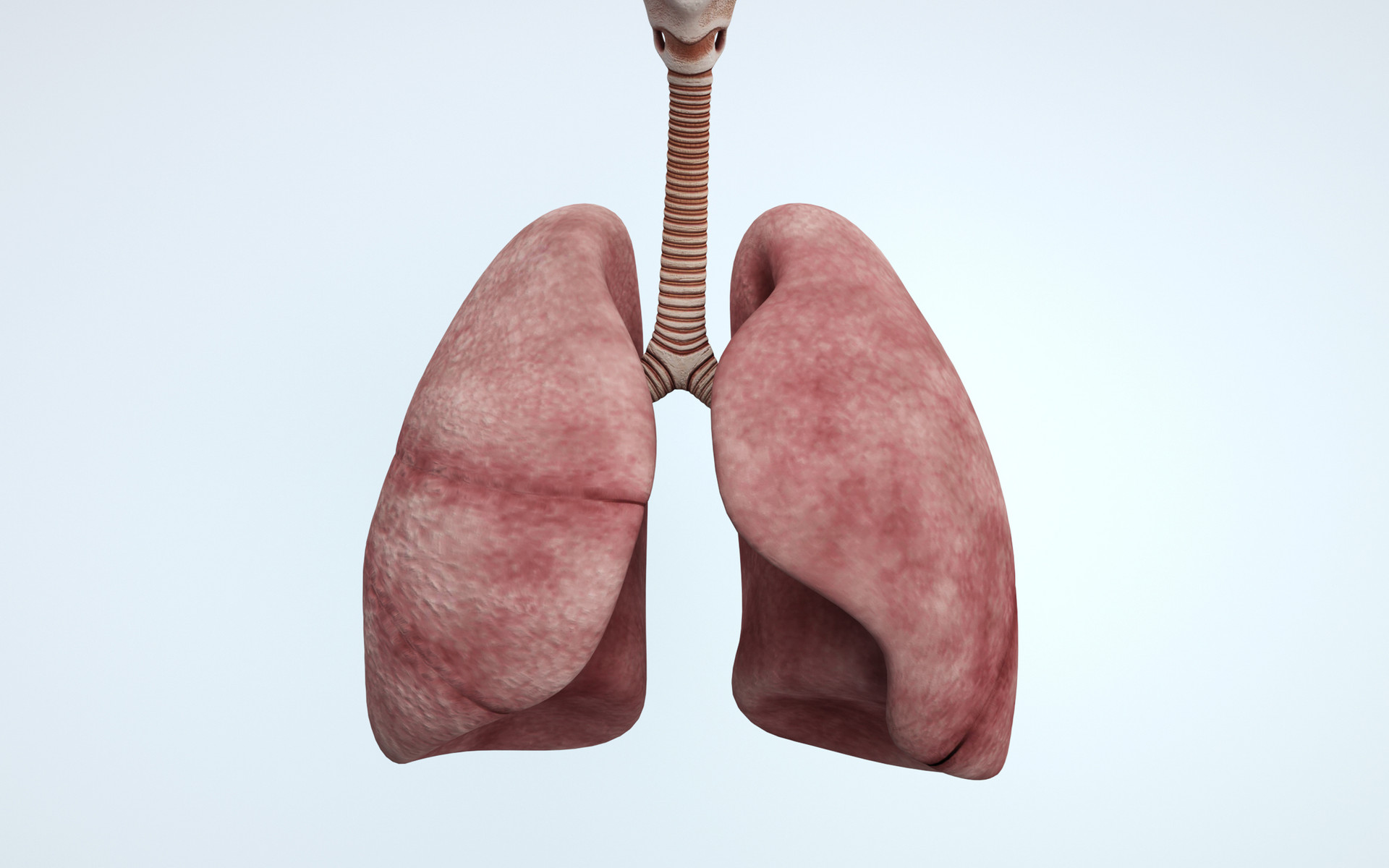 新冠肺炎治愈后会有肺损伤吗?