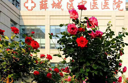枣庄市薛城区中医院体检中心2