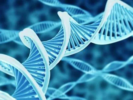 基因检测是什么，有什么作用？